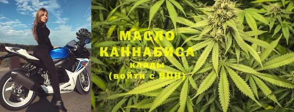 индика Абинск