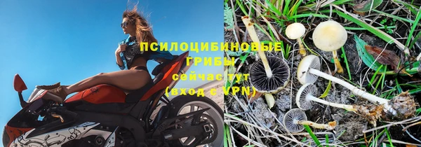 трава Абдулино
