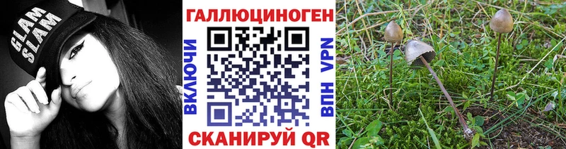 Галлюциногенные грибы мицелий  Рославль 